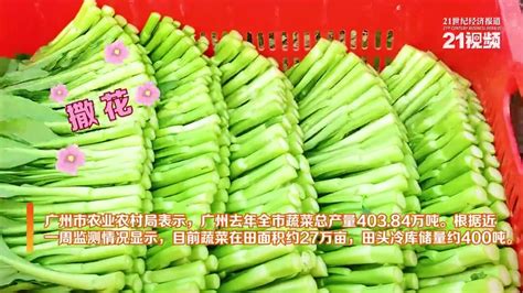 和县淡季蔬菜产销两旺