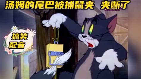 搞笑配音:《猫和老鼠》汤姆安捕鼠夹抓杰瑞 ，却夹了自己的尾巴_腾讯视频