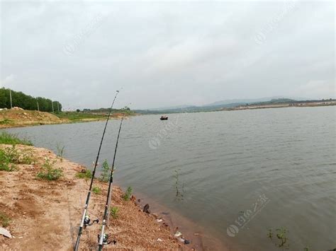 碧流河水库鱼种,碧流河水库鱼图片(第3页)_大山谷图库