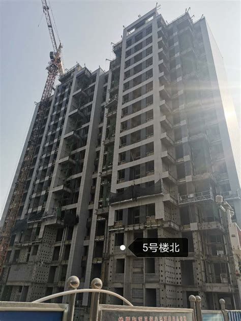 皓顺•和工程_在建工程_秦皇岛秦渤幕墙装饰工程有限公司_建筑幕墙、金属门窗、钢结构