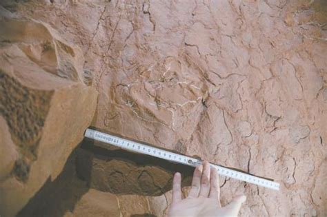 安徽齐云山晚白垩世恐龙足迹群 - 神秘的地球 科学|自然|地理|探索