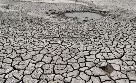 干涸的湖底和倒下的枯树欧洲的全球变暖气候高清图片下载-正版图片506515689-摄图网