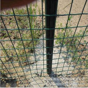 优质农场养殖围栏网 散养鸡围网价格 浸塑绿色荷兰网规格-阿里巴巴