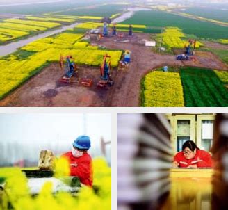 【一线】忙碌的采油女工 - 中国石油石化网