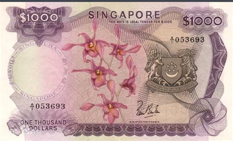 新加坡元纸币图片免费下载_红动中国