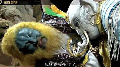 西游记孔雀精图片