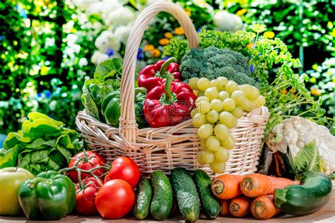 花园中新鲜有机蔬菜和水果品种繁多平高清图片下载-正版图片506170768-摄图网