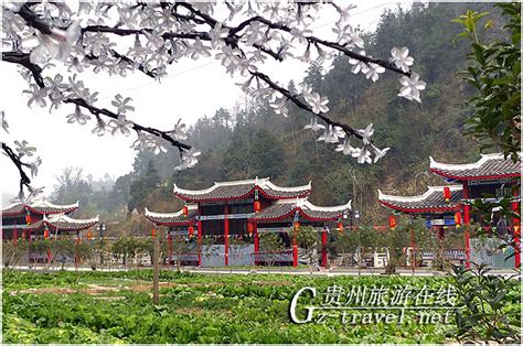 都匀民营度假酒店“大河桂花园”开始运营-贵州旅游在线
