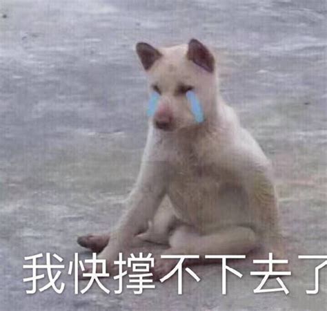我去世了表情包图片