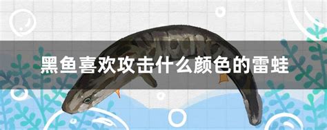黑鱼可以养殖吗,黑鱼养殖技术能人工养殖吗-参考网