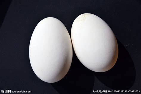 孕妇吃鹅蛋对胎儿有什么好处 孕妇吃鹅蛋的好处_彩牛养生