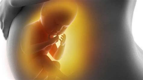 被代孕的母亲没有经历十月怀胎的艰辛，基本和孩子没有感情吗？|代孕_新浪新闻