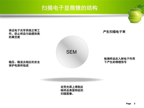 SEM先进制样方法：平面和截面制备 - 美信检测