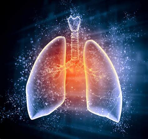 白肺的一个明显表现是气紧-出现白肺是什么意思|白肺|一个-滚动读报-川北在线