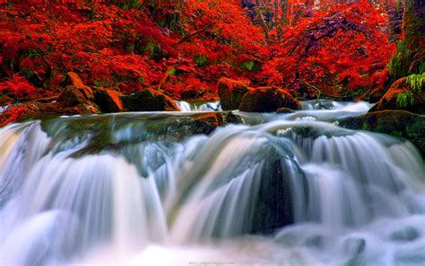Autumn Falls - Drew Buckley Photography ~ Pembroke, Pembrokeshire
