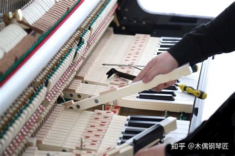 静安区0基础钢琴调音培训需要会弹琴吗「上海司乐文化传播供应」 - 8684网企业资讯