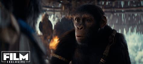 猩球崛起3： 一场人与猿的罗生门 - 滚动 - 华西都市网新闻频道