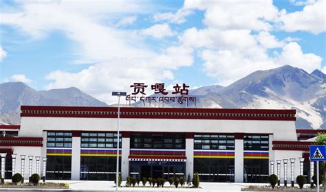 连续12年这个社团入藏调研 只为展现真实西藏_新闻中心_中国网