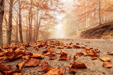最爱的季节，在黑水感受秋天的五彩缤纷-黑水县旅游攻略-游记-去哪儿攻略