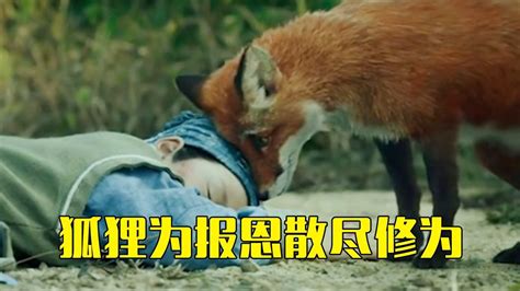 男人救一只小狐狸，狐狸变成美女来报恩_腾讯视频
