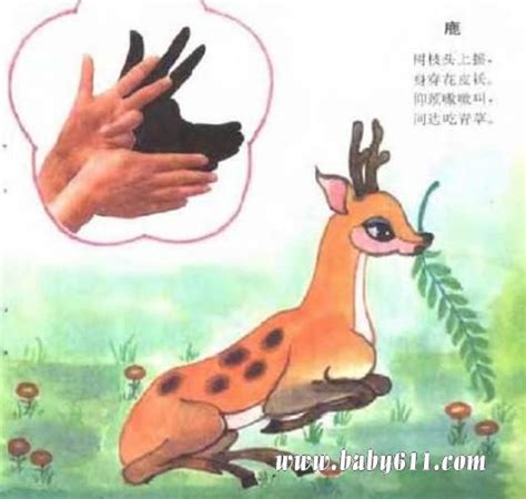 儿童手影：鹿的手影做法教程 - 幼儿园手影