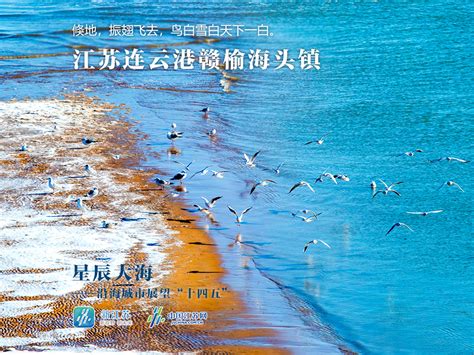 星辰大海｜新时代，这是江苏大海寄给你的蓝色明信片-新闻中心-温州网