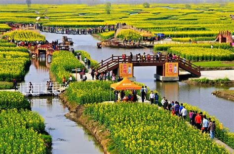 天津：创建百个示范村，乡村振兴带头