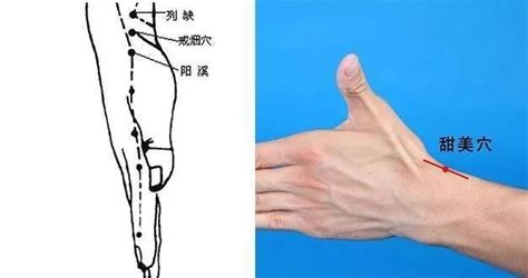 列缺准确位置图图片