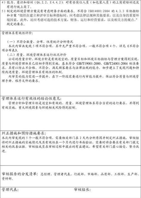 内审工作总结报告5篇Word模板下载_编号qwoewrka_熊猫办公