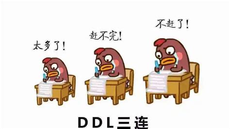 DDLとは？ データ定義言語, Data Definition Language｜CO-WRITE