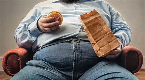 摄膳科普专栏 | 肠道微生物与肥胖的关系 - 知乎