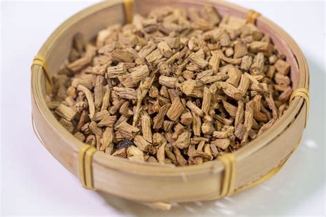 银柴胡图片