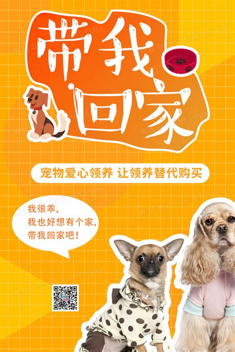 宠物爱心领养海报设计图片下载_psd格式素材_熊猫办公