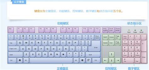 键盘打字指法图图片