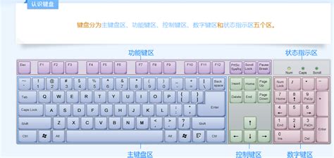 键盘的各个部分和指法(图片版)_键盘键位图-CSDN博客