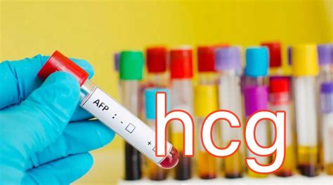 HCG参考范围表_验血hcg怀孕对照表 - 随意云
