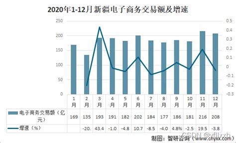 2022-2028年中国电子商务行业市场深度分析及投资前景展望报告 - IT宝库