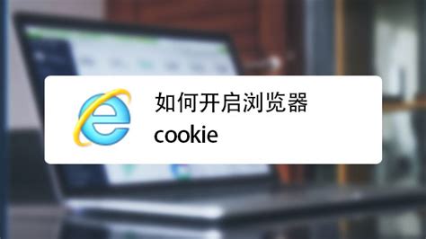 如何查看浏览器的cookies-百度经验