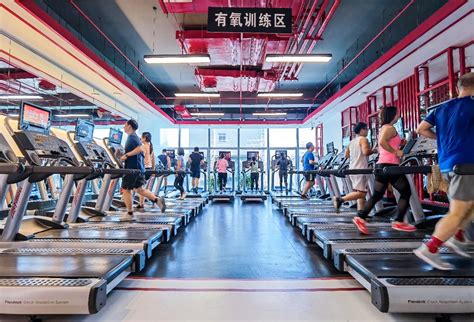 行业深度！一文带你了解2021年中国健身行业市场规模、竞争格局及发展趋势_前瞻趋势 - 前瞻产业研究院
