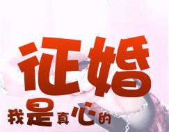 征婚表情包图片