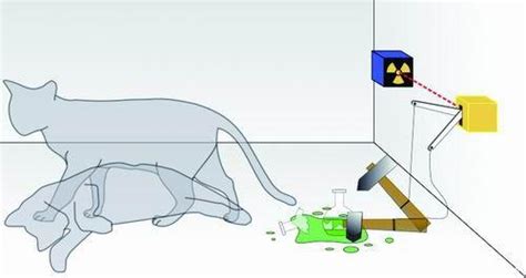 欧文薛定谔和薛定谔的猫思想实验，塑造量子力学的诺贝尔物理学奖得主 - 知乎