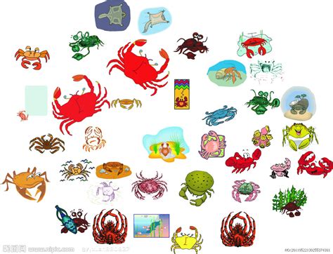 螃蟹设计图__海洋生物_生物世界_设计图库_昵图网nipic.com