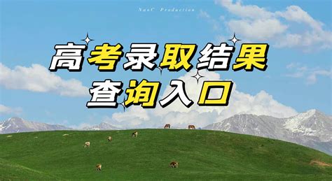 2023年德州市高考成绩查询入口