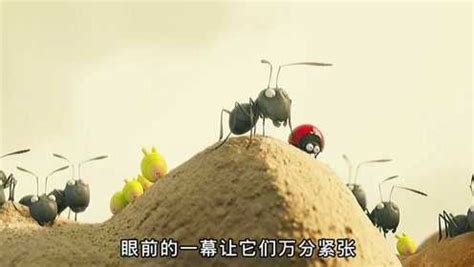 黑蚂蚁大战红蚂蚁_腾讯视频