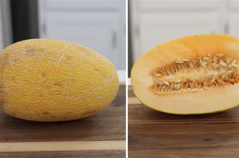 Hami Melon Xinjiang Netted Melon Sweet Crisp And Easy To Grow Fruit ...