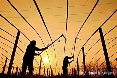 今年农村重点扶持2个生意，肯努力年入10万以上………_健康中国促进网