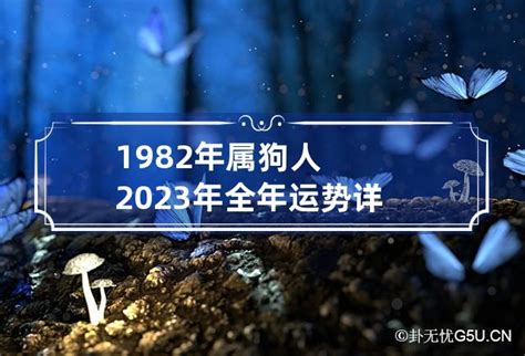 1982年属狗人2023年全年运势详解 1982属狗2023年运势完整版_卦无忧