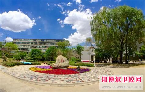 江苏农牧科技职业学院在青海高考专业招生计划2023(人数+代码)