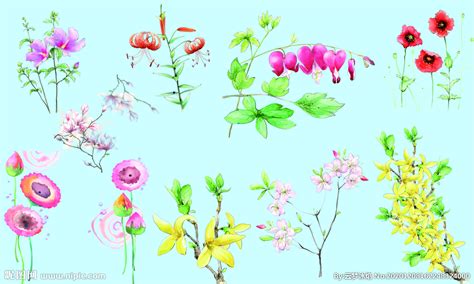百花齐放,花卉,植物花草,摄影素材,汇图网www.huitu.com