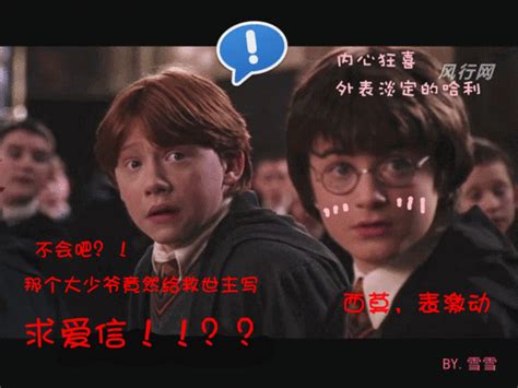 哈利&#183;波特表情包图片